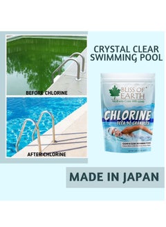 BLISS OF EARTH Bliss of Earth Japanese Chlorine Powder for Pool, Clean & Clear Swimming Pool, Kills Bacteria & Stops Algae, Pool Disinfectant Granular Chlorine 3x453gm  - Image 3