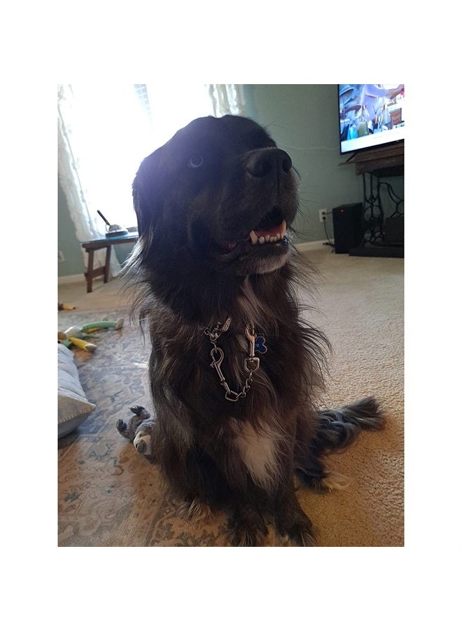 MOZETO Dog Collar Safety Clip, Stainless Steel Heavy Backup for Prong Collar, Dog Harness Collar Leash Connector (9 inches) - Image 5