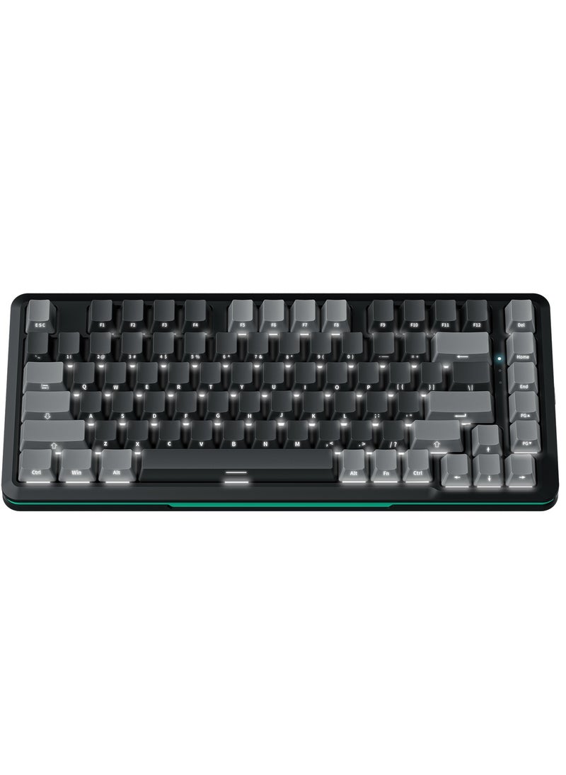 INFOSUN - 82 Keys Mechanical Gaming Keyboard 75% Mini Type-C Wired  - White Light Effect - Hot Swappable - Gasket Mounted Design - Side engraved PBT Keycaps Gaming Keyboard(Customized Noah Silver Switch) - Image 1