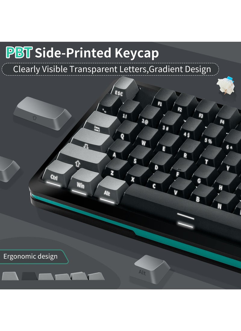 INFOSUN - 82 Keys Mechanical Gaming Keyboard 75% Mini Type-C Wired  - White Light Effect - Hot Swappable - Gasket Mounted Design - Side engraved PBT Keycaps Gaming Keyboard(Customized Noah Silver Switch) - Image 1