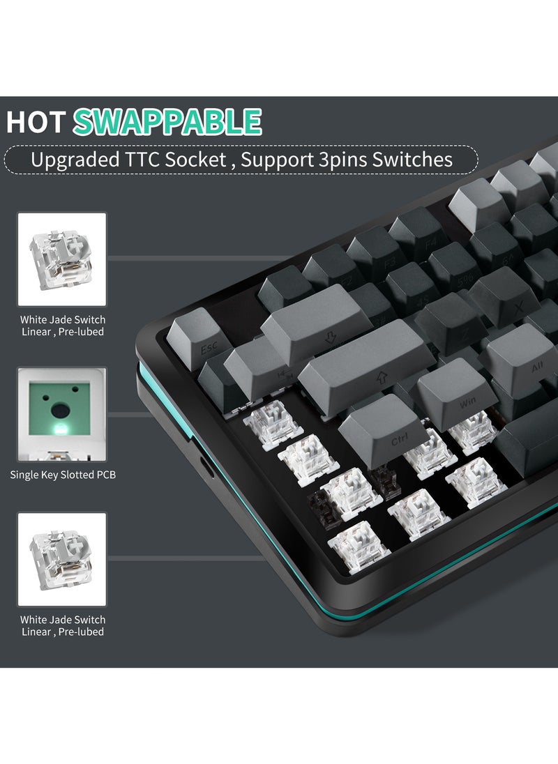 INFOSUN - 82 Keys Mechanical Gaming Keyboard 75% Mini Type-C Wired  - White Light Effect - Hot Swappable - Gasket Mounted Design - Side engraved PBT Keycaps Gaming Keyboard(Customized Noah Silver Switch) - Image 1