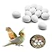 FOIBURELY 12 Pcs Solid Parrot Plastic Eggs Hatching Eggs Green Cheek LorikeetRingneck Dove Quaker Cockatiel Trick The Birds to Stop Laying Eggs Fake Eggs - Image 3