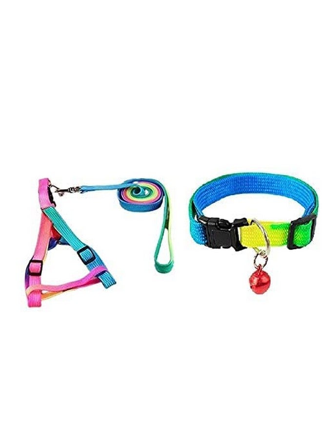 Adjustable 15 Mm Nylon Puppy Leash & Harness Set + Rainbow Collar With Bell For Puppy & Small Breed - Image 1