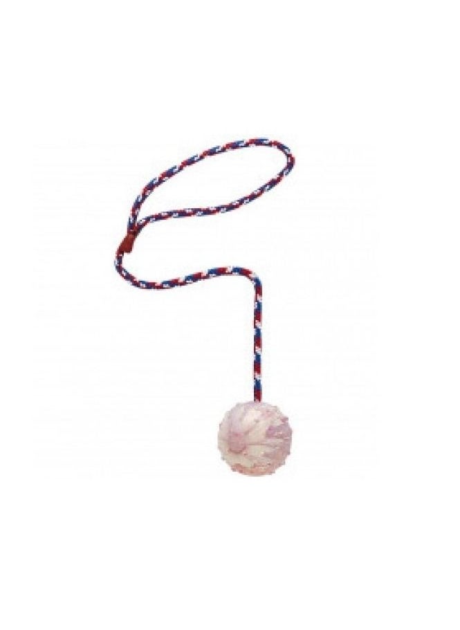 Ferplast Ball With Braided Cotton Rope Dental Toy For Dogs Multicolor 