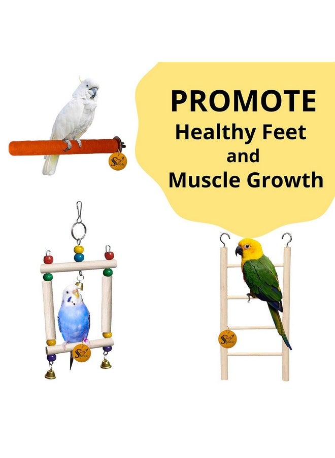 Sage Square Wooden Bird Toys Combo | Ladder, Breeding Box, Sand Perch, Swing, Hanging Cage Accessory | For Budgie, Parrot, Cockatiel, Parakeet, Conure, Macaw Etc  - Image 4