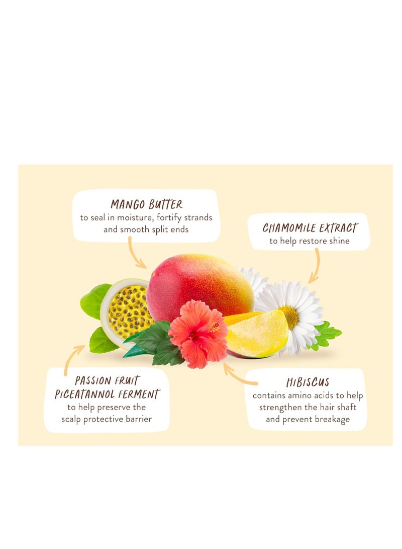 Babo Botanicals Nourishing Mango & Hibiscus Conditioner - For Dry, Damaged, Color-Treated Hair â€“ Moisturize & Soften â€“ Water-Resistant Carton 80% Less Plastic â€“ Vegan â€“ Silicone Free