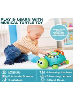 General Baby Toys 6 to 12 Months, Musical Turtle Crawling Baby Toys for 12-18 Months, Early Learning Educational Toy with Light  Sound, Birthday Toy for Infant Toddler Boy Girl 7 8 9 10 11 month 1-2 Year Old  - Image 4