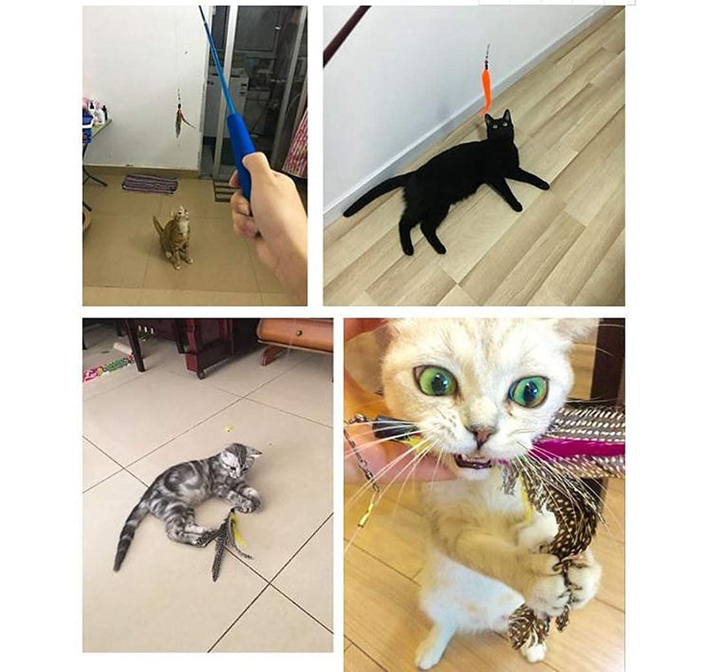 Sunkizzrs ® Interactive Feather Toy Set - Activity Toys for Kittens - Wand to Exercise Cats - Stick Toy for Indoor Cats (1 Retractable Stick with 1 Feather) - Image 5