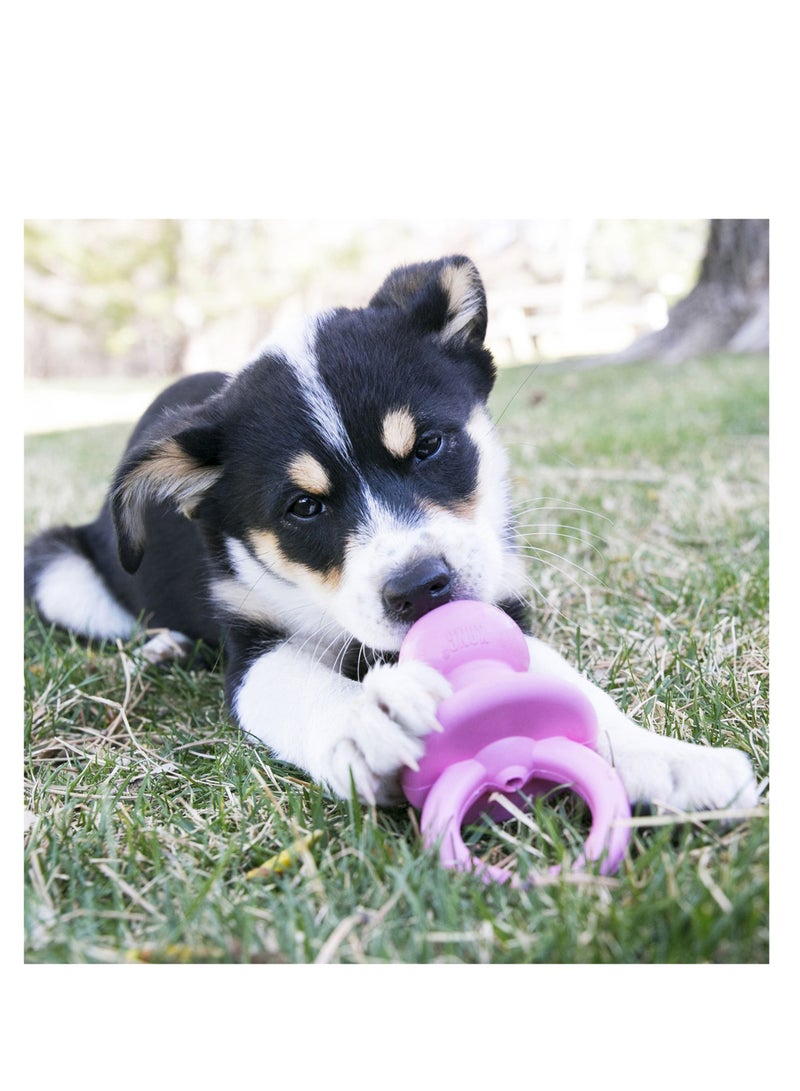 KONG® PUPPY BINKIE™  Toy For Puppy's - Small Size - Pink/Blue Accorted - Image 4