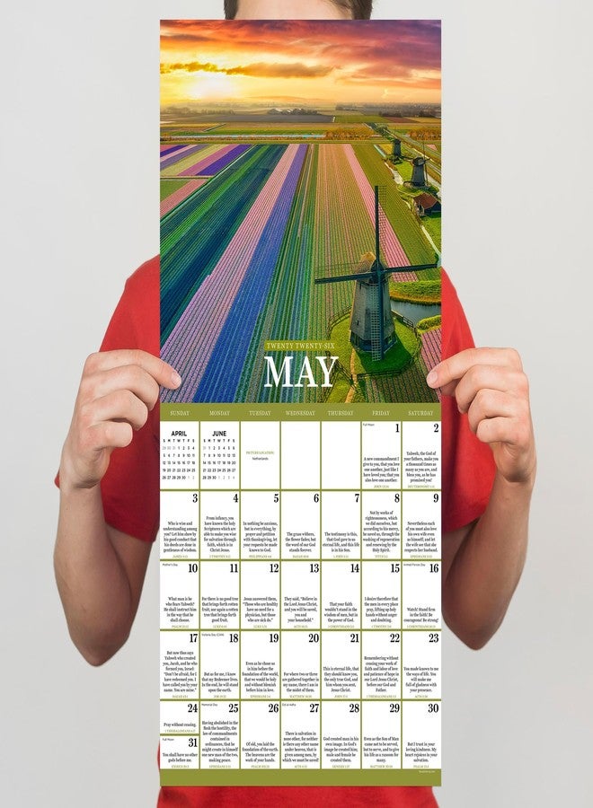 TF Publishing 2026 Daily Verse Wall Calendar - Large Grids for Appointments and Scheduling - Vertical Monthly Wall Calendar 2026 with Premium Gloss Paper for Home and Office Organization - 12x12in - Image 5