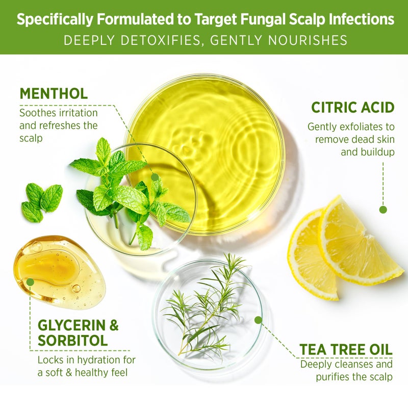 Roycederm Tea Tree Scalp Scrub â€“ Pre-Shampoo Exfoliating Treatment for Dry, Flaky Scalp â€“ Deep Cleansing, Refreshing & Balancing Formula for Healthy-Looking Hair - Image 3