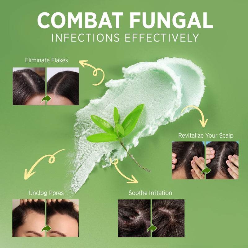 Roycederm Tea Tree Scalp Scrub â€“ Pre-Shampoo Exfoliating Treatment for Dry, Flaky Scalp â€“ Deep Cleansing, Refreshing & Balancing Formula for Healthy-Looking Hair - Image 4