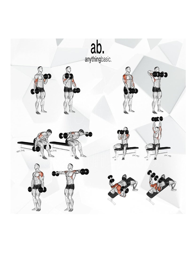anythingbasic. Home Gym Sets 12 kg of PVC weight Material : Iron, Plasti, Sand and Cement | Combo has 3 Feet Curl Iron Rod, One Pair of Dumbbell Rods | For Men and Women  - Image 5