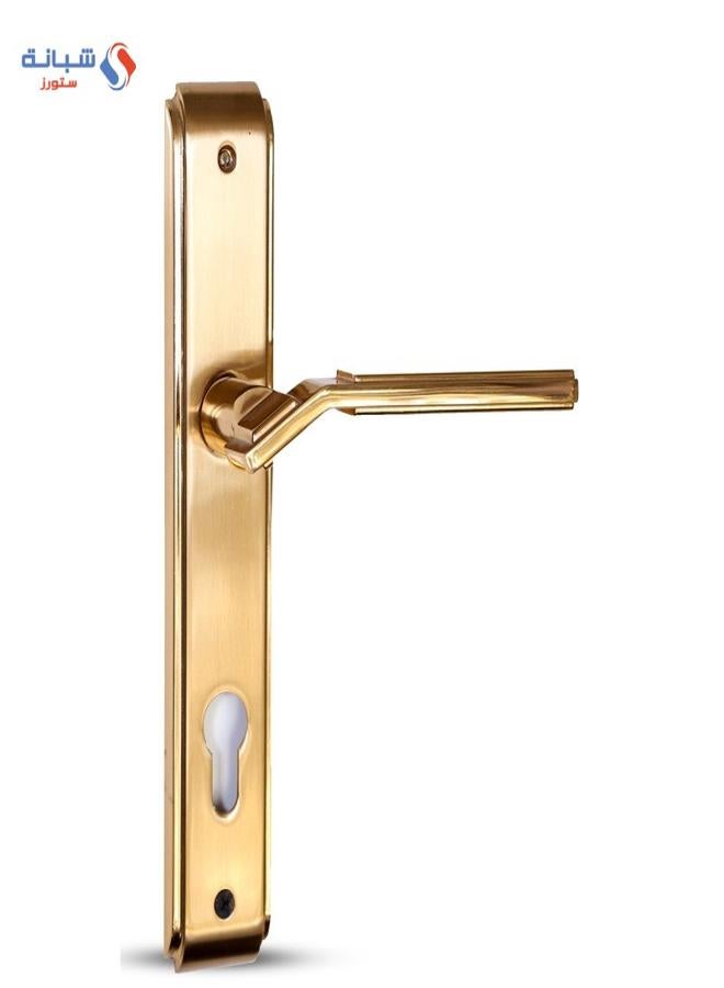 Doganlar Doganlar Asus Door Handle Set Turkish – Golden Matt 