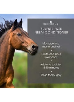 EQUIDERMA Equiderma Neem and Aloe Coat Conditioner, 32 Ounces Per Bottle, For Horses  - Image 4