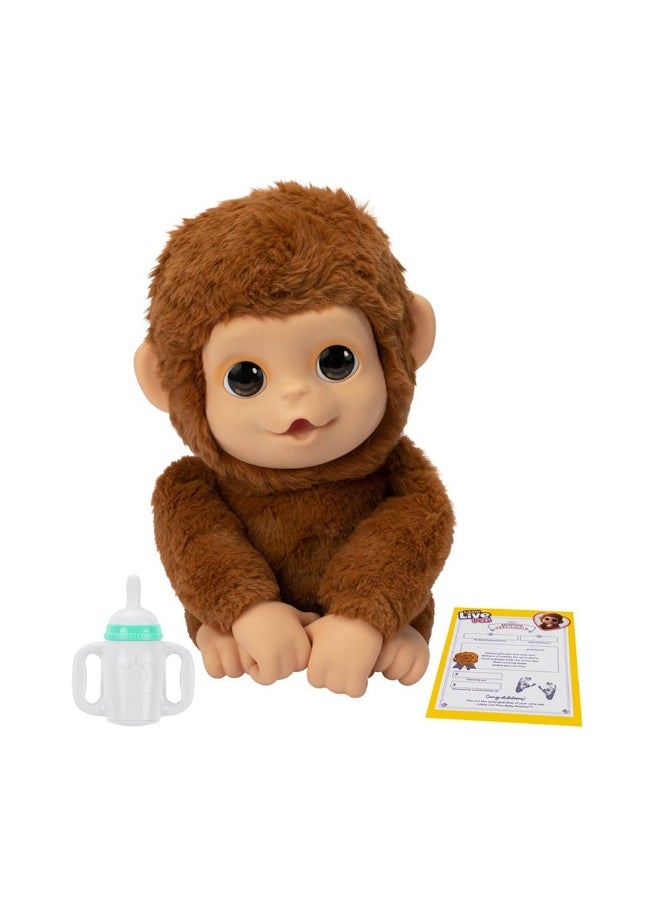 LITTLE LIVE PETS - My Baby Monkey Plush Toy - Image 1