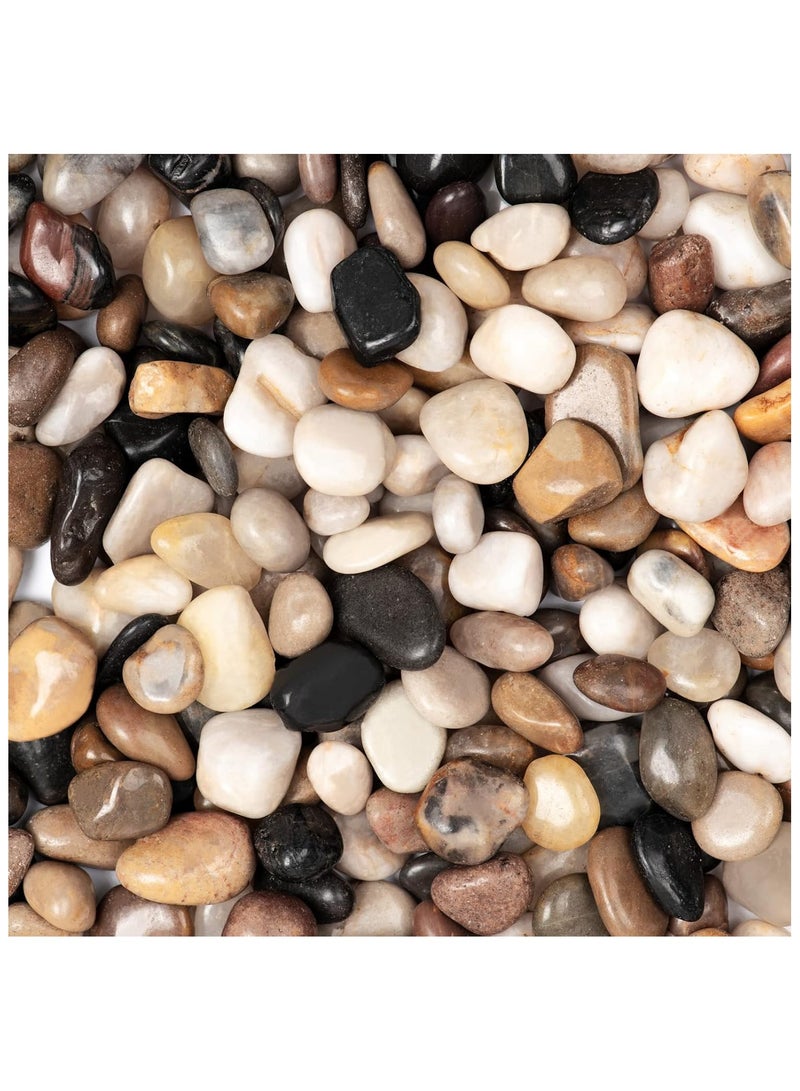 Home zone 11lbs Natural River Rocks Polished Pebbles for Plants Garden, 1-3 cm Ideal for Fish Tank Vases Crafting Home Décor and Garden Landscaping Rocks  - Image 1