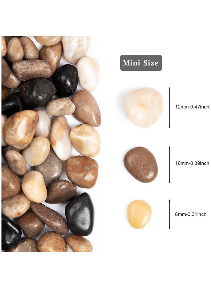 Home zone 11lbs Natural River Rocks Polished Pebbles for Plants Garden, 1-3 cm Ideal for Fish Tank Vases Crafting Home Décor and Garden Landscaping Rocks  - Image 2