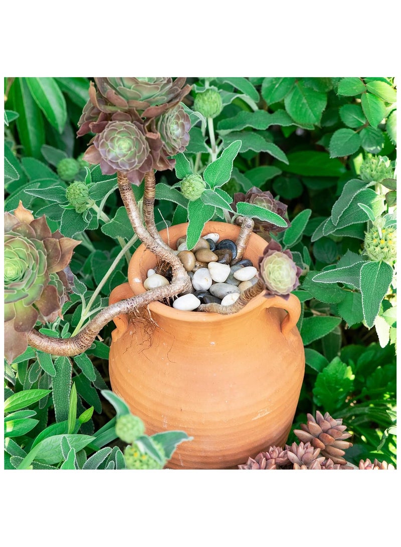 Home zone 11lbs Natural River Rocks Polished Pebbles for Plants Garden, 1-3 cm Ideal for Fish Tank Vases Crafting Home Décor and Garden Landscaping Rocks  - Image 5