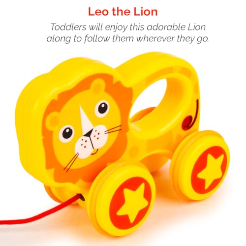 Ratna's Jazz Gift Set, 2-in-1 Baby Toys with Pull Along Lion and Rattling Ball, New Born Toys for 6 Month+ Old Baby - Image 3