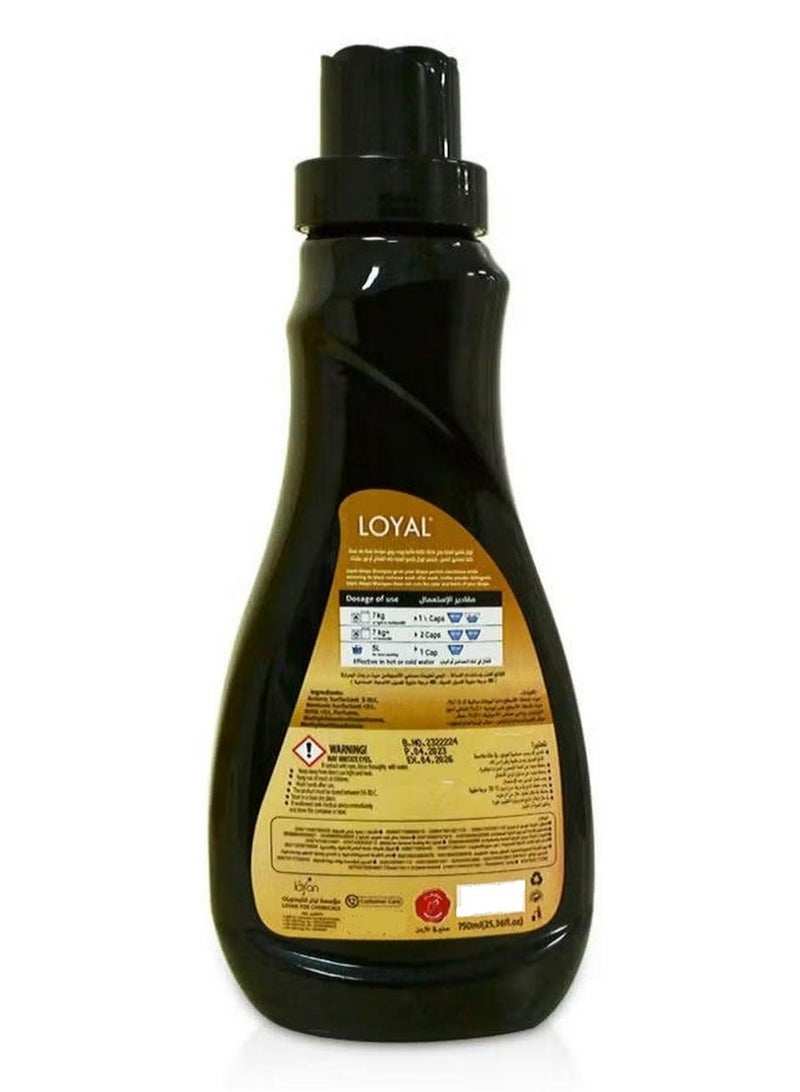 loyal Abaya Shampoo With Long Lasting Scent 750 ML - Image 2