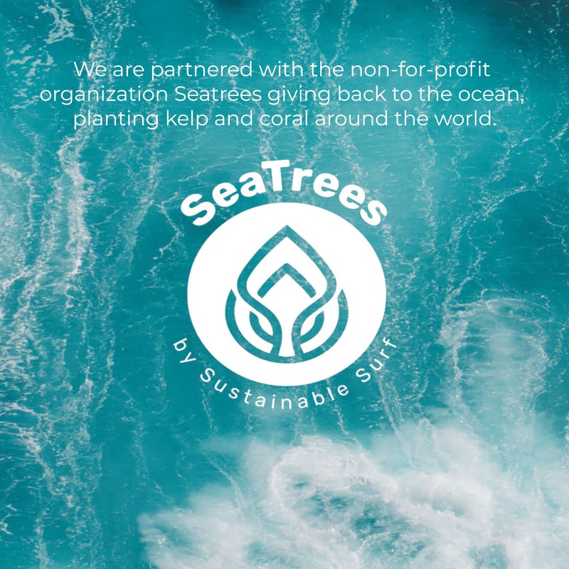 Sea-El Moringa Seed Facial Oil Drops Super Moisturizing Antioxidant-Rich Glow with Sea Kelp & Vitamin E - Daily Face Primer & Replenishing Vegan Skincare for Women & Men - 1 Fl Oz - Image 5