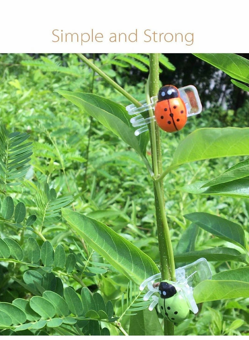 Y&D 60 PCS Orchid Clips 30 Pcs Dragonfly Plant Clips and Ladybug Garden Support Vine for Flower - Image 5