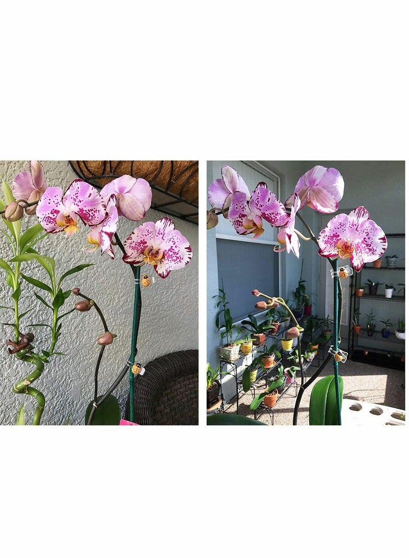 Y&D 60 PCS Orchid Clips 30 Pcs Dragonfly Plant Clips and Ladybug Garden Support Vine for Flower - Image 2