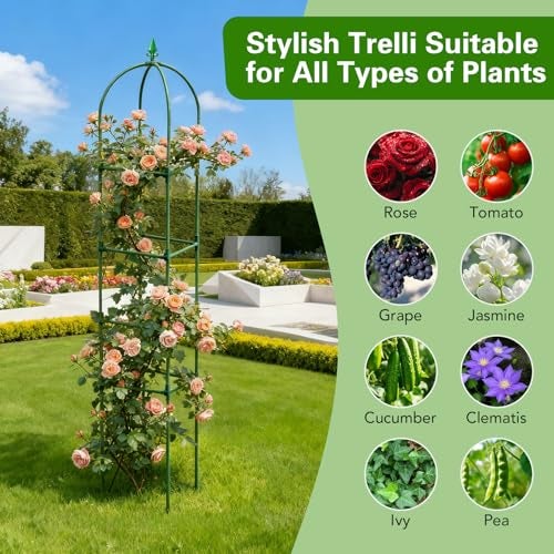 Monirsen 2 Pack Garden Obelisk Trellis for Climbing Plants, 72" Metal Rustproof Rose Trellis, Tower Potted Cages Plant Support for Flowers/Vegetables/Vines, Indoor Outdoor Garden Patio - Image 5