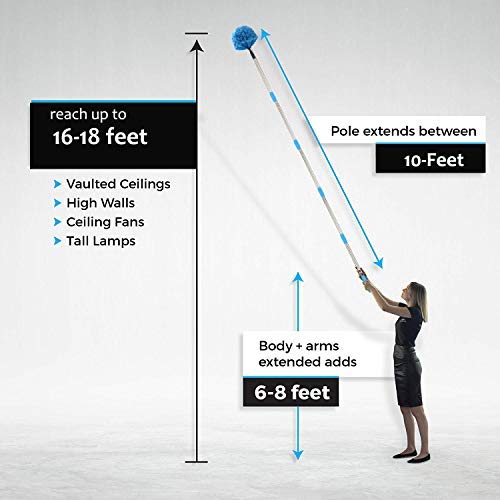 Coconut Cobweb Duster with Extension Pole, 10 FT Long Duster for High Ceilings, Walls, Medium Stiff Bristles Cobweb Brush with Lightweight Stainless Steel Pole for Outdoor Indoor Cleaning - Image 2