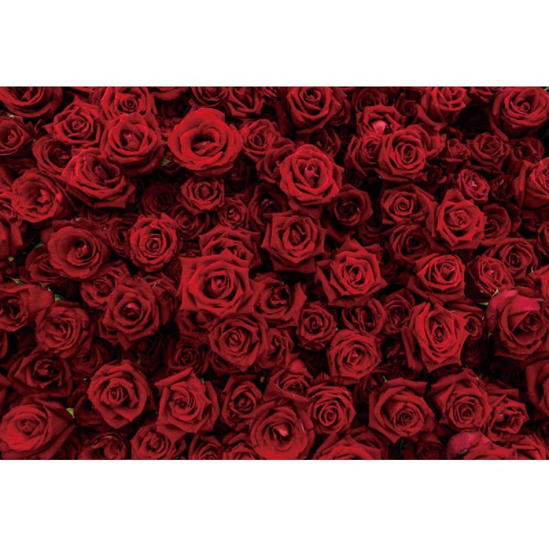 Laeacco Vintage Red Rose Flower Wall Backdrop 12x8ft Romantic Floral Flowers Photography Background Valentine Mother's Day Bridal Shower Wedding Happy Anniversary Party Decor Wallpaper Photo Studio - Image 4