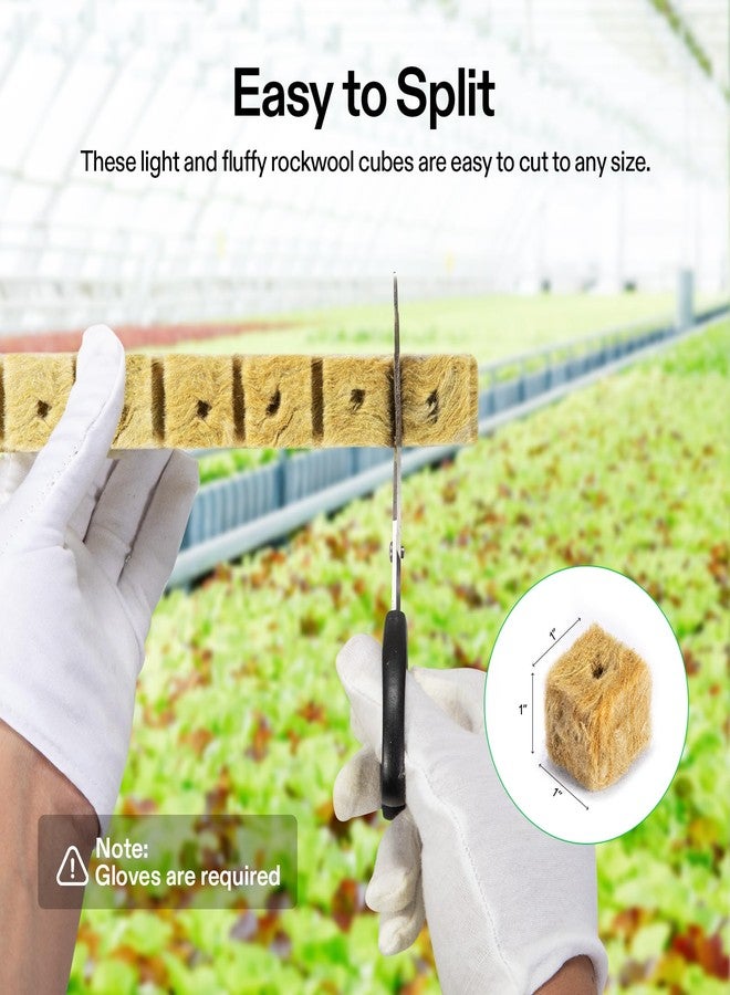 VIVOSUN 1" Rockwool Cubes, Stonewool Grow Cubes Starter Sheets, 1 Sheet of 50 Plugs, Total 4 Sheets of 200 Plugs - Image 5