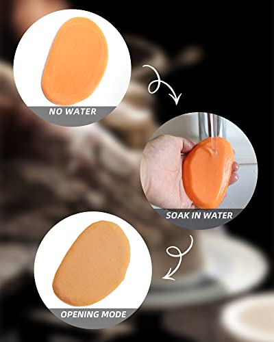 GYILORO Pottery Sponge for Clay, Clay Sponge Cleanup and Shaping Tool for Pottery and Clay Artists - Image 4