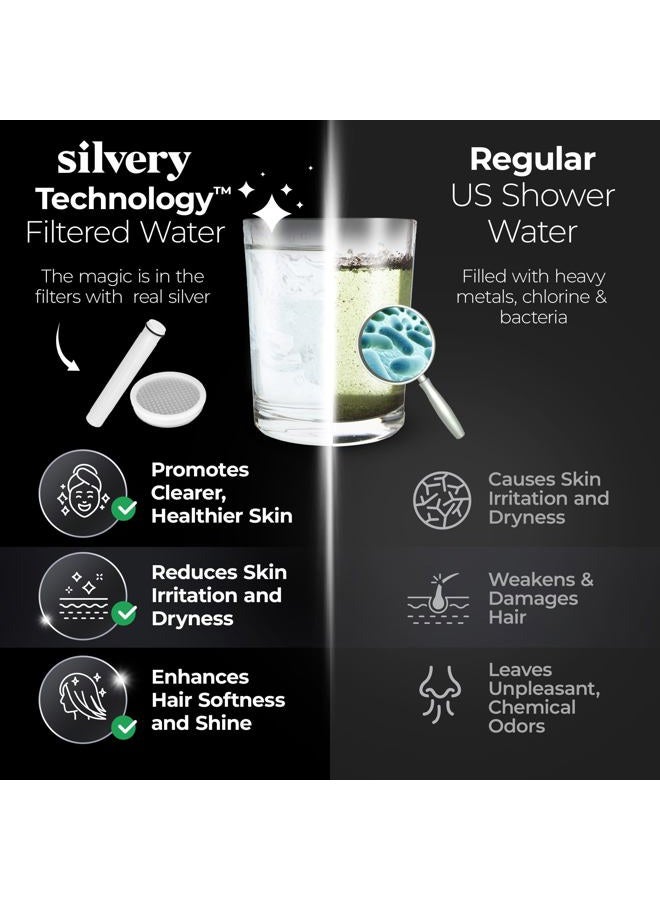 Silvery Handheld_Filtered_showerhead_Dark_Gray - Image 3