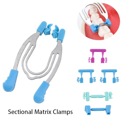 SeeFDENT Dental Matrix System Sectional Contoured Matrices Clip Clamp Forming Sheet Band Metal Spring Ring Autoclave - Image 5