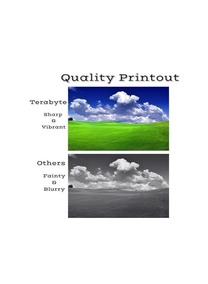 Terabyte CF280A Compatible Toner Cartridge for use in Laserjet Pro 400 M401a M401d M401n P2030 2035 P2050 Printer - Image 3