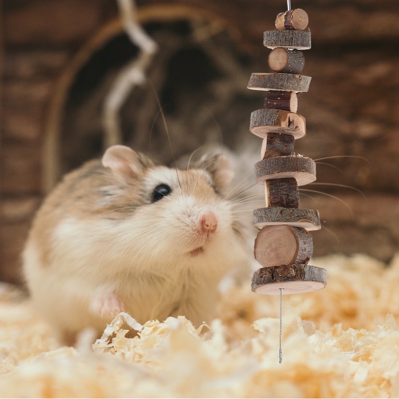 1 Set of Hamster Toys Hanging Chinchilla Toys Chew Toys Chinchilla Accessory Ladder Toy - Image 1