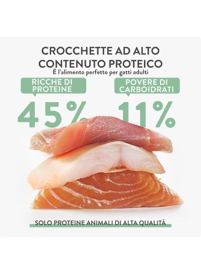 شيسر طعام بورن كارنيفور الجاف الخالي من الحبوب والمخبوز في الفرن [غني بالبروتين] للقطط - دجاج وبيض 255 جرام - Image 4