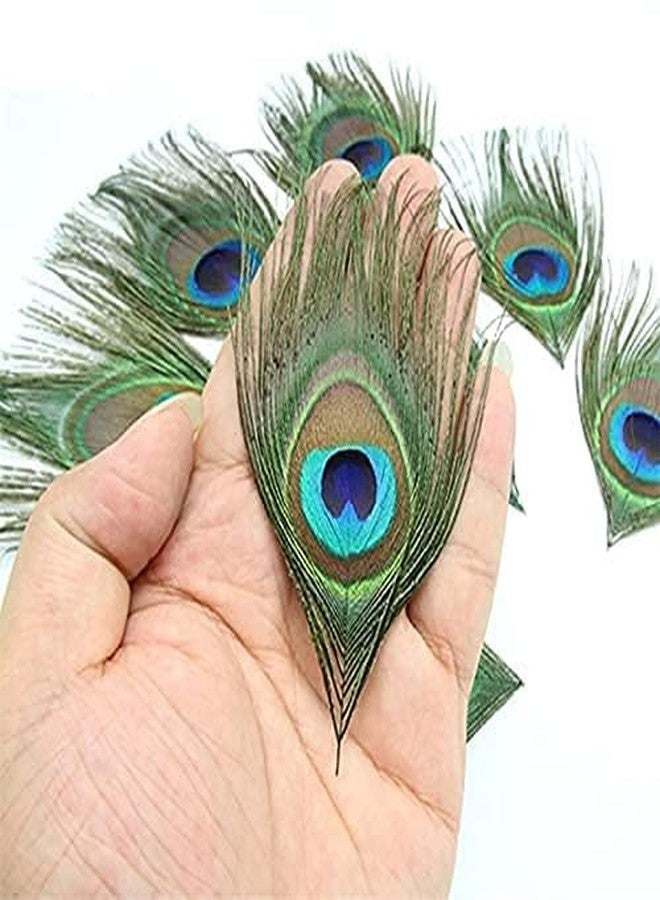 FOLA MOOLYAVAAN PRODUCTS Peacock Feather More Pankh Feather Tails. Full Length Size 30 Inch More Pankh for Janamashtami Diwali Navratri Artefact Decoration Item (6) - Image 3