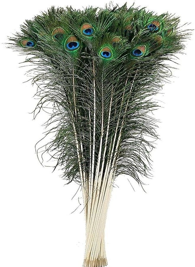 FOLA MOOLYAVAAN PRODUCTS Peacock Feather More Pankh Feather Tails. Full Length Size 30 Inch More Pankh for Janamashtami Diwali Navratri Artefact Decoration Item (6) - Image 1