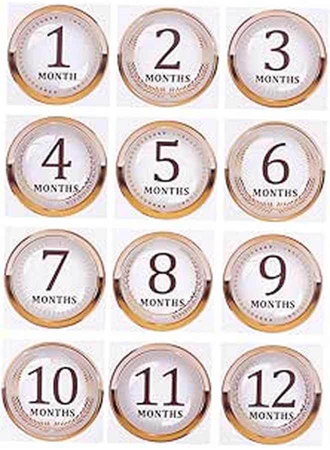 Newborn Girl Monthly Milestone Stickers Set with Pink Floral Design - Image 1