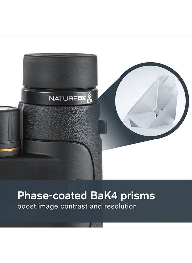 Celestron - –Nature DX ED 8x42 Premium Binoculars –Extra-Low Dispersion Objective Lenses –Outdoor and Birding Binocular–Fully Multi-coated with BaK-4 Prisms–Rubber Armored – Fog & Waterproof Binoculars - Image 1
