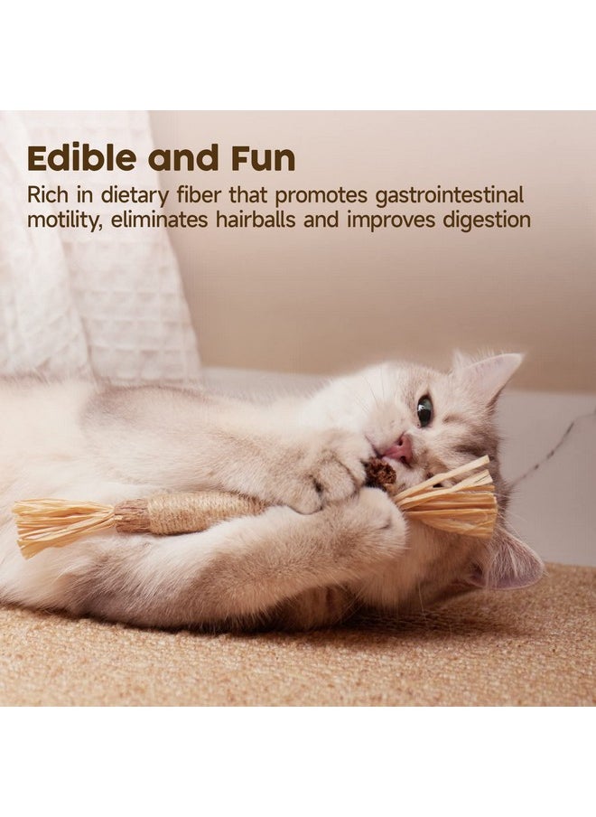 Potaroma Potaroma 6 Pcs Natural Silvervine Sticks Cat Toys, Catmint Silvervine Blend Sticks, Kittens Chew Toys for Teeth Cleaning, Matatabi Dental Care Cat Treat, Edible Kitty Lick Toys  - Image 3