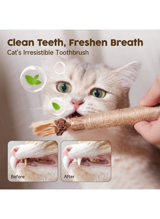 Potaroma Potaroma 6 Pcs Natural Silvervine Sticks Cat Toys, Catmint Silvervine Blend Sticks, Kittens Chew Toys for Teeth Cleaning, Matatabi Dental Care Cat Treat, Edible Kitty Lick Toys  - Image 4