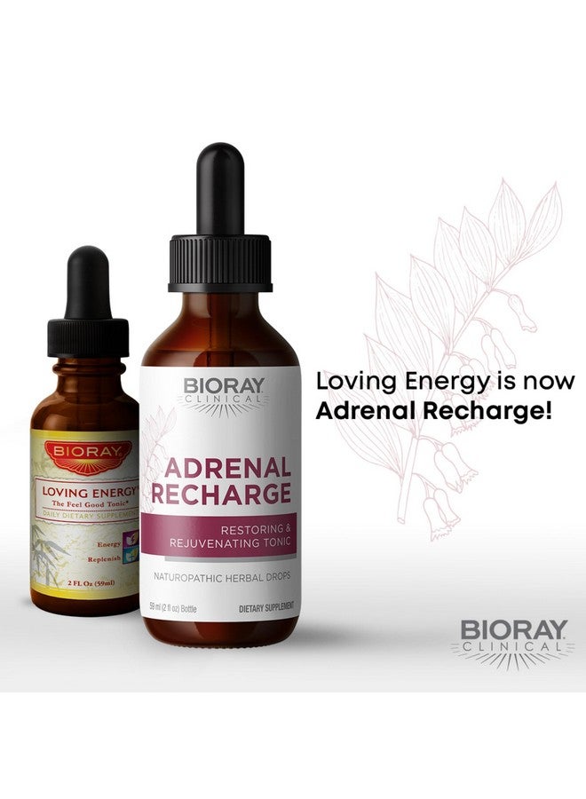 BIORAY بيوراي كلينيكال أدرينال ريتشارج - 4 أونصة سائلة - مستخلص كحولي لاستعادة وتجديد الطاقة - خالي من الكائنات المعدلة وراثيًا، نباتي، خالي من الغلوتين - Image 3