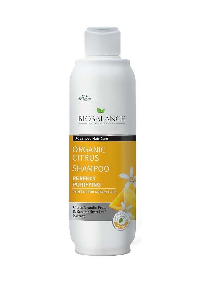 Org Citrus Shampoo For Greasy Hair - pzsku/Z3FFC4F526B3B6FECC1CAZ/45/_/1720002695/77c86a1b-d936-4728-8739-72a336b98994