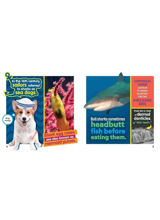 null - Weird But True Sharks - Image 1