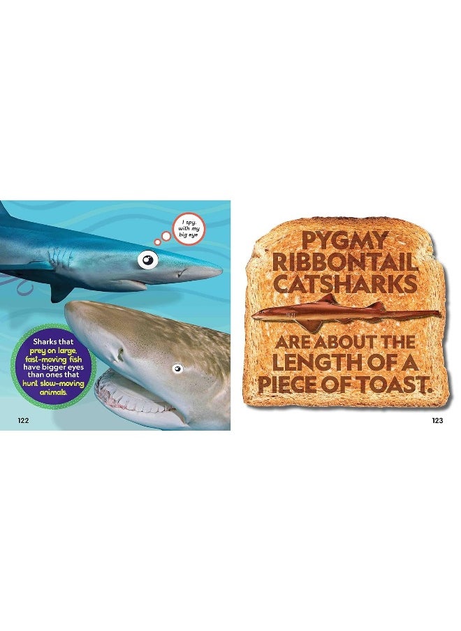 null - Weird But True Sharks - Image 1