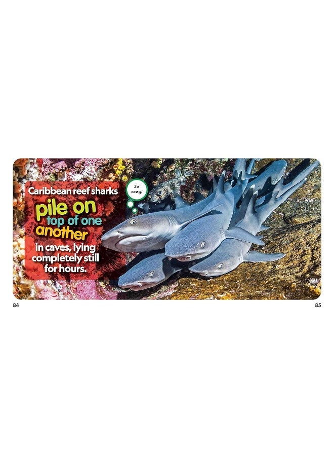 null - Weird But True Sharks - Image 1