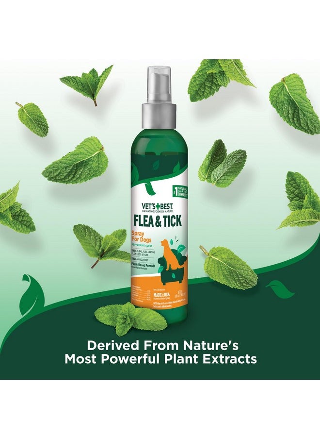 Vet's Best Vet's Best Flea & Tick Spray - Plant-Based Flea and Tick Prevention for Dogs - Certified Natural Oils - 8 oz  - Image 5
